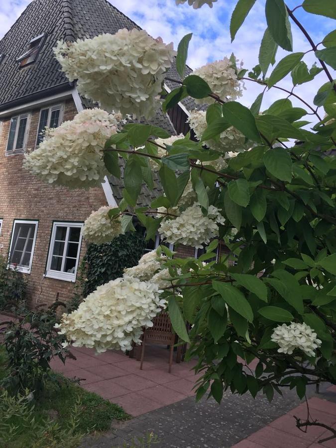 Gasthof Menke Niederhaverbeck 외부 사진